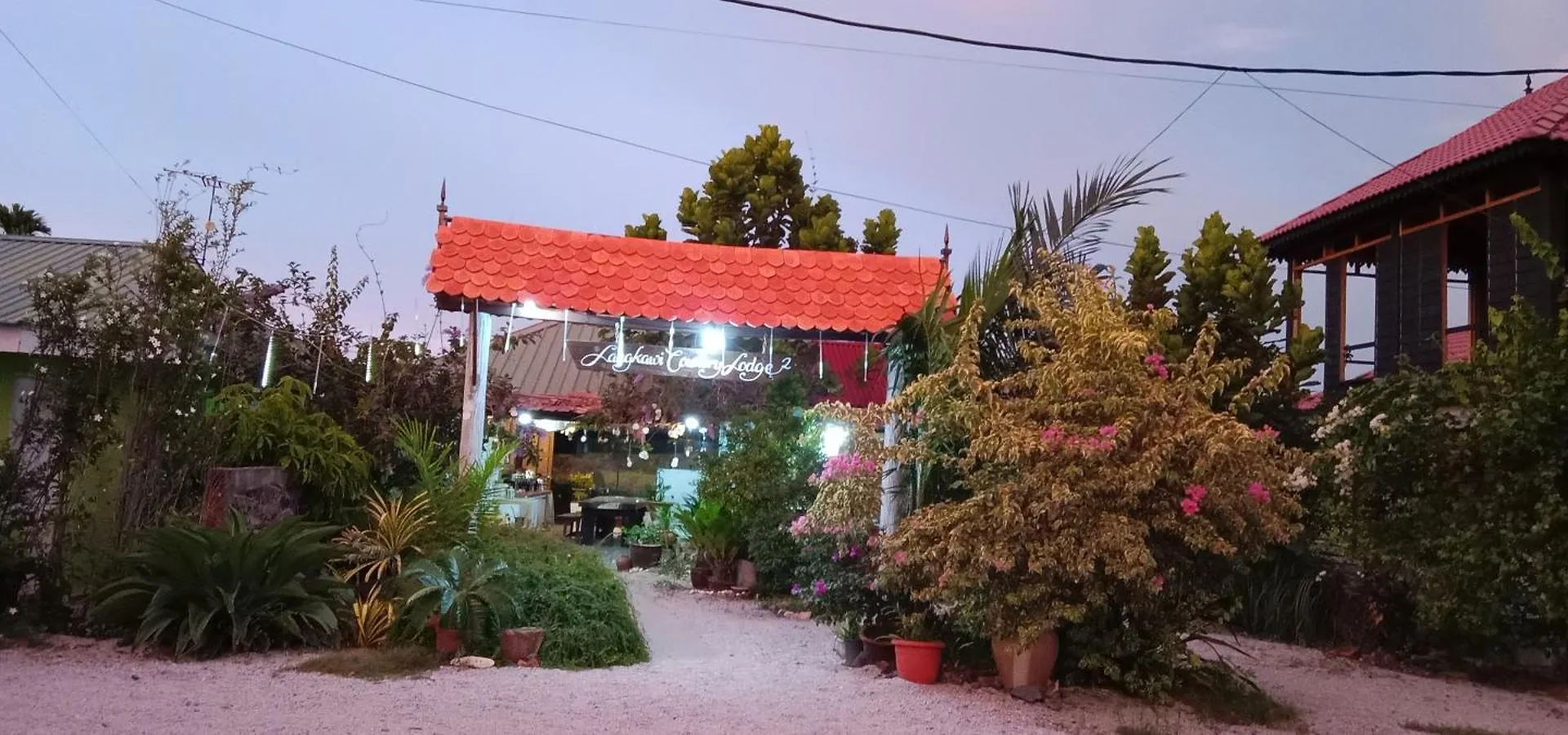 Where to Stay Near Cenang Beach: 5 Family Hotels Compared